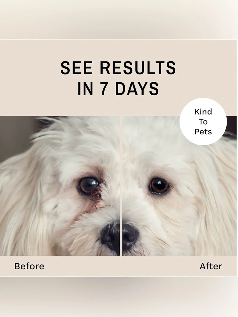 Eye Envy Tear Stain Wipes for Dogs 60 Count Gently Cleans Loosen Debris EXP 4/29